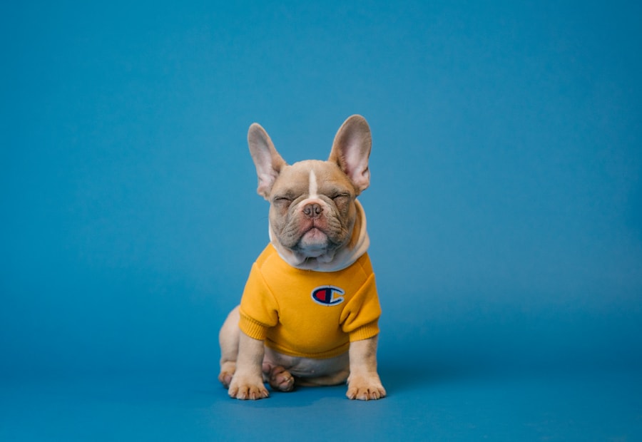 Pet Apparel sourcing